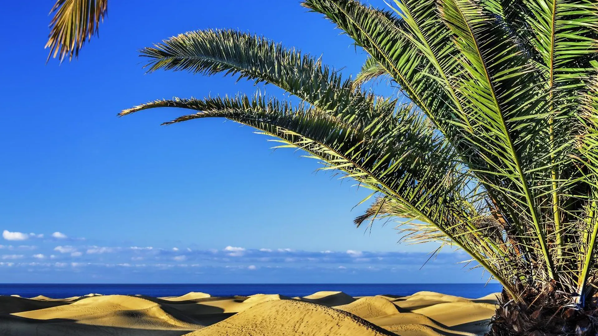 Holiday home Chelsea Canteras By Canariasgetaway Las Palmas de Gran Canaria